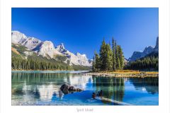 Spirit Island