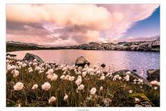 Sognefjellet