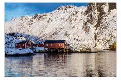 Lofoten