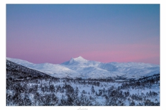 Lofoten