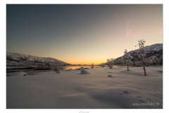 Lofoten