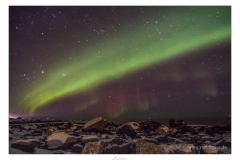 Lofoten