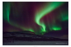 Lofoten