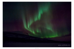 Lofoten